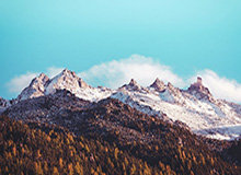 乐鱼体育投注-英超纽卡斯尔俱乐部前老板收购德国Puma近6%股权